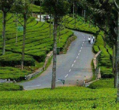  Kodaikanal Tour Package